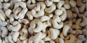 W240 Cashew Nut