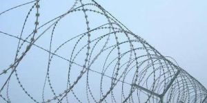 Stainless Steel Concertina Coil