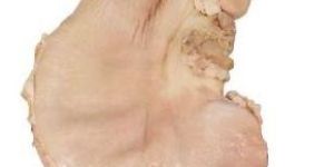 Frozen Pork Offals Cooked Stomach