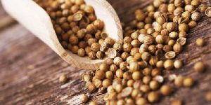 Coriander Seeds