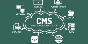 Web Development Service