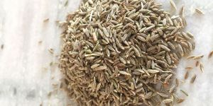 Cumin Seed