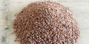 Psyllium Seed (ISABAGOL)