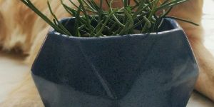 Octagon Ceramic Planter