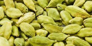 Green Cardamom