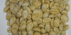 Arabica Parchment