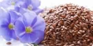 Flax Seeds