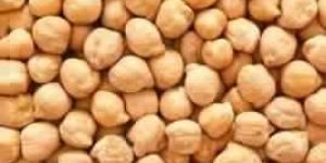 White Chickpeas