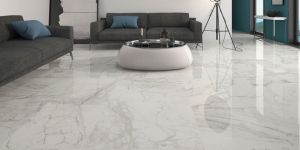Double Charge Vitrified Tiles