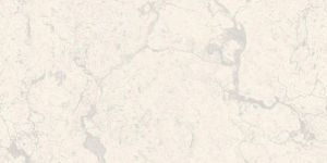 Soluble Salt Vitrified Tiles