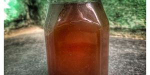 Organic Honey