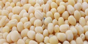 Gota Urad Dal