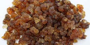 Natural Dried Raisins