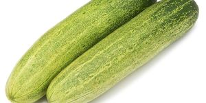 Fresh Organic Cucumber