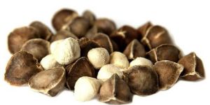 Moringa Seeds