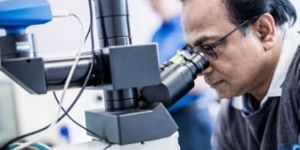 Metallography Testing Services