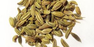Fennel Seeds