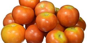 Fresh Organic Tomato