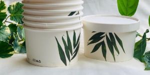 Paper Food Container