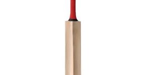 Cricket Bat