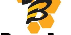 Basic Web Designing Services