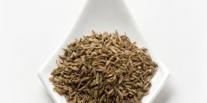 Fennel Seeds