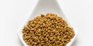 Fenugreek Seeds