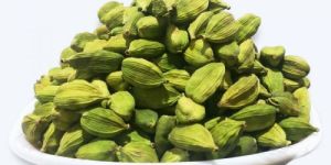 Cardamom