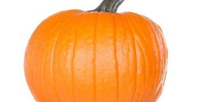 Fresh Pumpkin