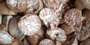 Betel Nut