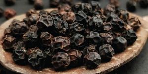 Black Pepper Seeds