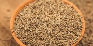 Cumin Seeds