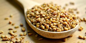 Fenugreek Seeds