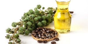 Castor Oil