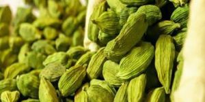 Cardamom