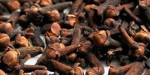 Cloves