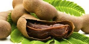 Tamarind