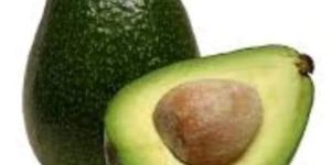 Fresh Avocado