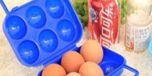 Plastic Egg Boxes