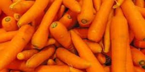 Fresh Carrot