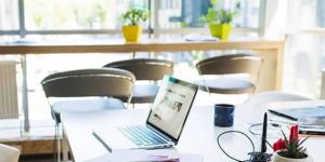 Online Reputation Management Services