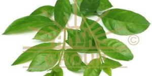 Natural Henna Powder