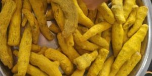 Organic Turmeric Powder