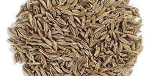 Cumin Seeds