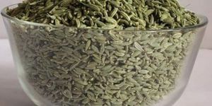 Fennel Seeds