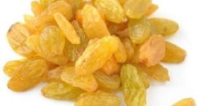 Yellow Raisins