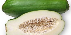Fresh Green Papaya