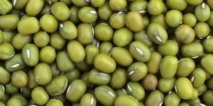 Green Mung Beans