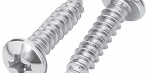 Pan Philips Self Tapping Screw