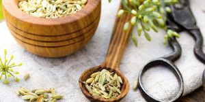 Fennel Seeds